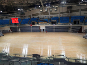 15th Liaoning Provincial Games.jpeg