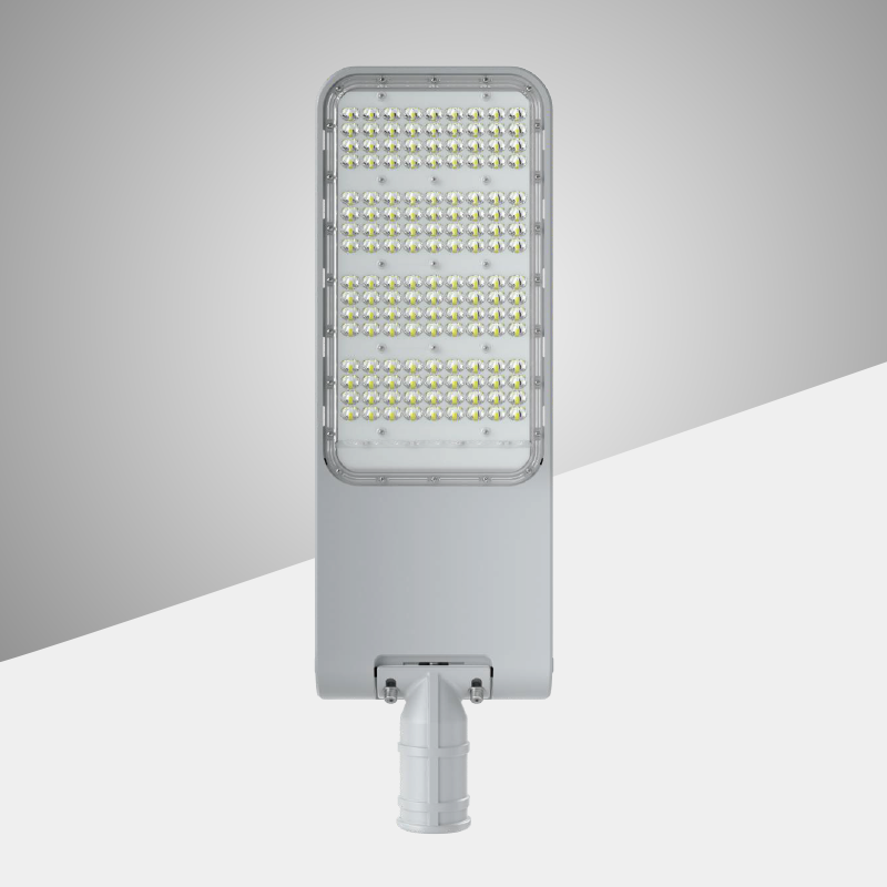 S22 Street Light